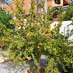Casa Cama Da Vaca